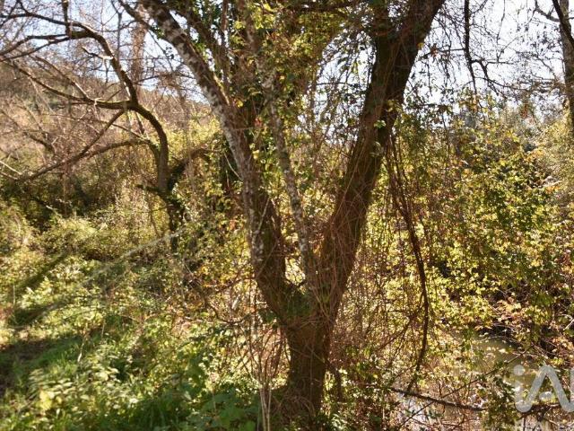 Terreno venda em Ourém, Santarém