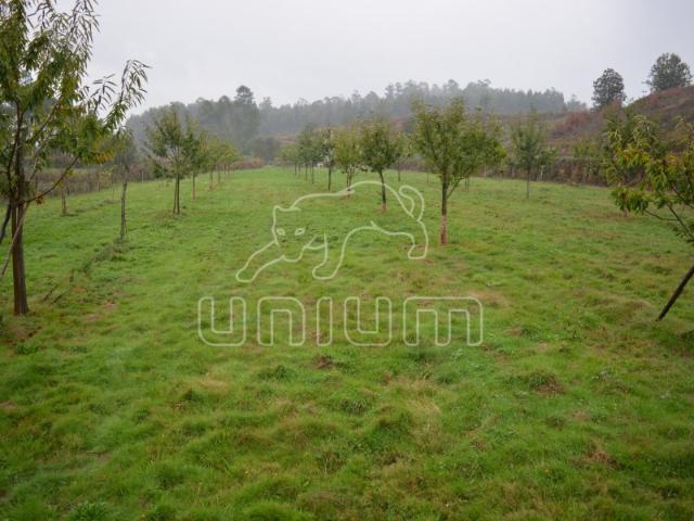 Terreno venda em Boalhosa, Viana Do Castelo