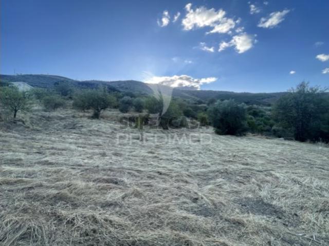Terreno venda em Guarda, Mós
