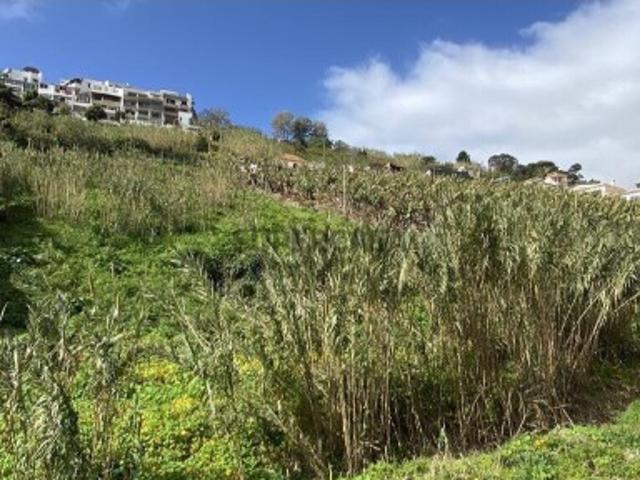 Terreno venda em Funchal, Rochinha Terreno venda em Funchal, Rochinha