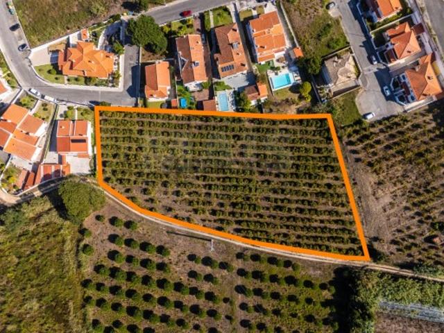 Terreno venda em Urbanização Bela Vista, Óbidos