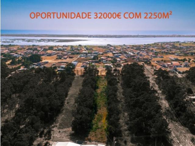 Terreno venda em Ílhavo