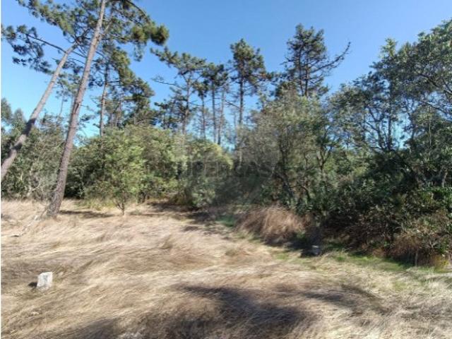 Terreno venda em Ílhavo, Aveiro