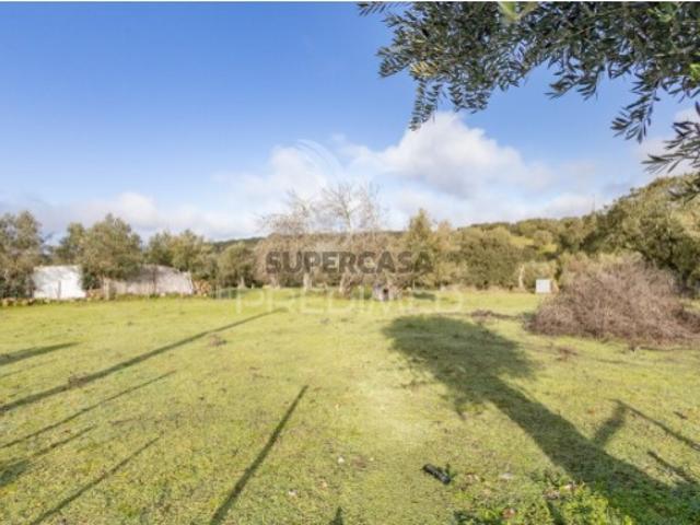 Terreno venda em Arraiolos, Évora