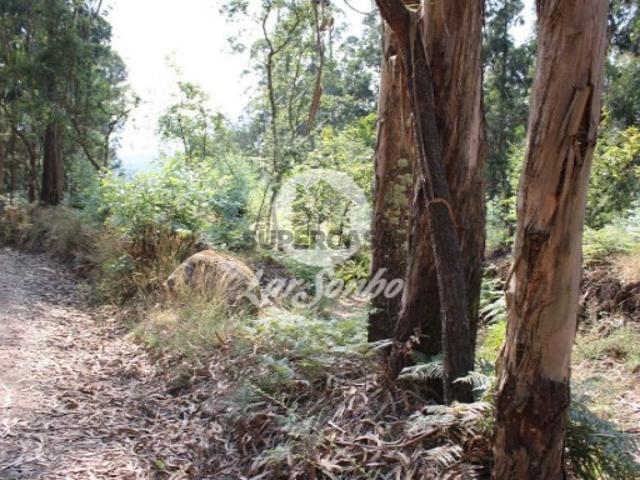 Terreno venda em Barcelos, Galegos (Santa Maria)