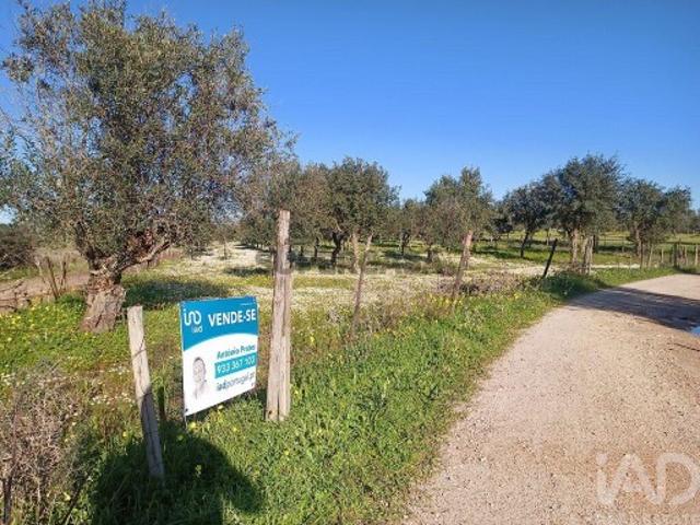 Terreno venda em Ponte De Sor, Portalegre