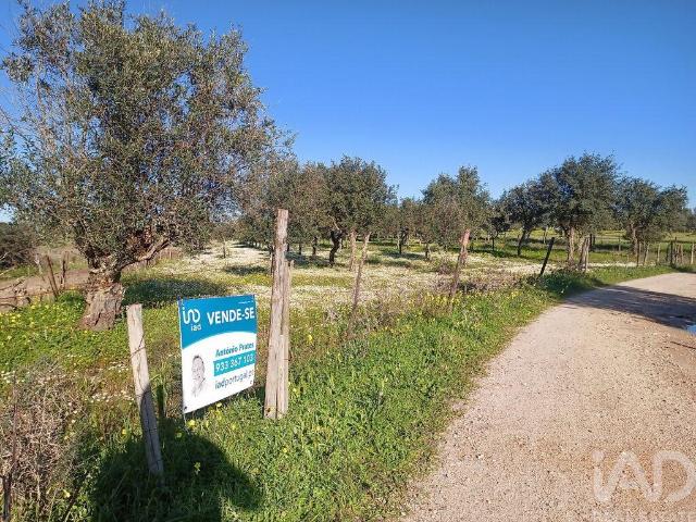 Terreno venda em Ponte De Sor, Portalegre