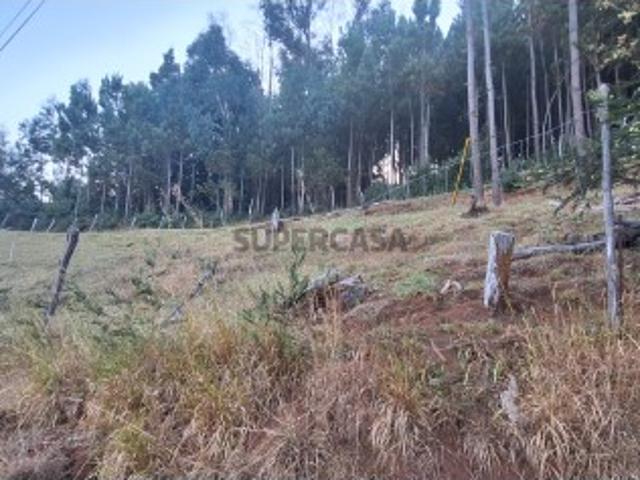 Terreno venda em Santa Cruz, Ilha Da Madeira