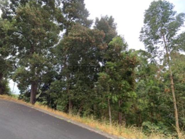 Terreno venda em Santa Cruz, Ilha Da Madeira