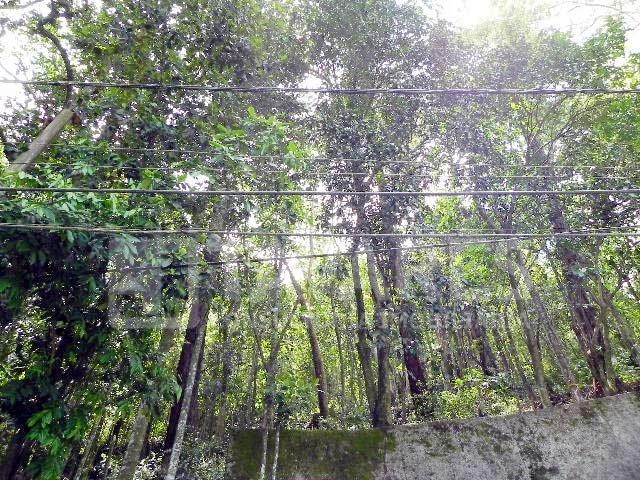 Terreno venda em Região Geográfica Imediata do Rio de Janeiro, Região Metropolitana do Rio de Janeiro