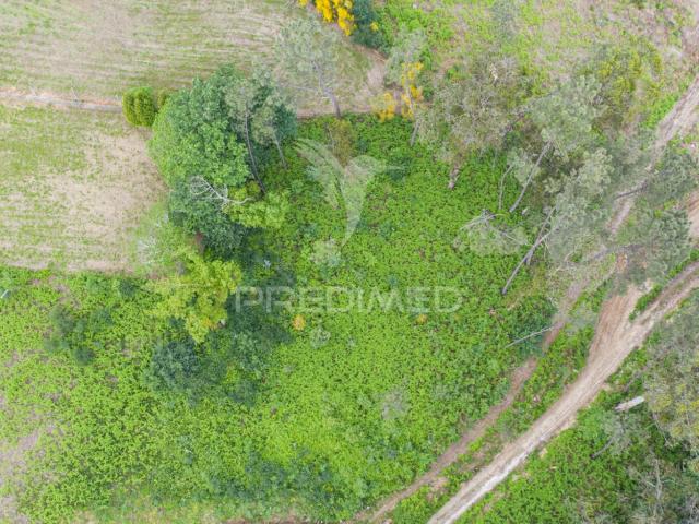 Terreno venda em Vila Verde, Braga