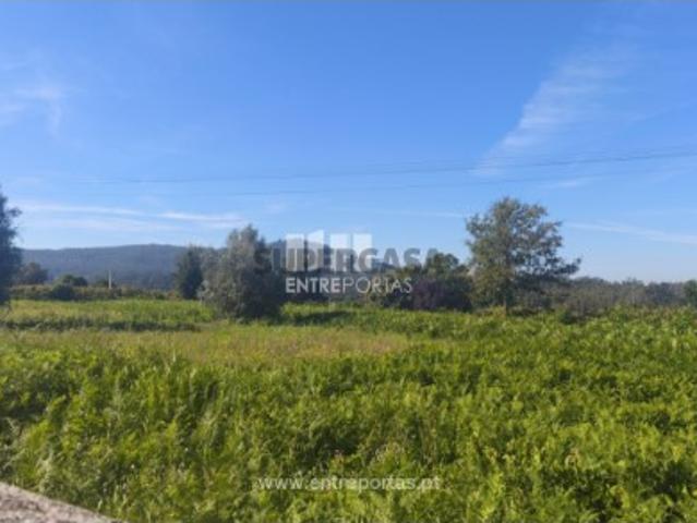 Terreno venda em Viana Do Castelo