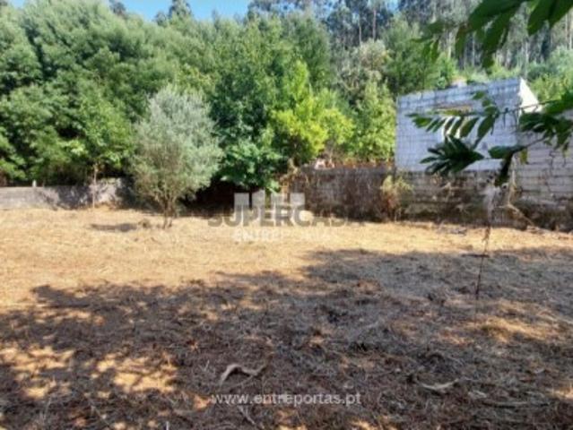 Terreno venda em Viana Do Castelo