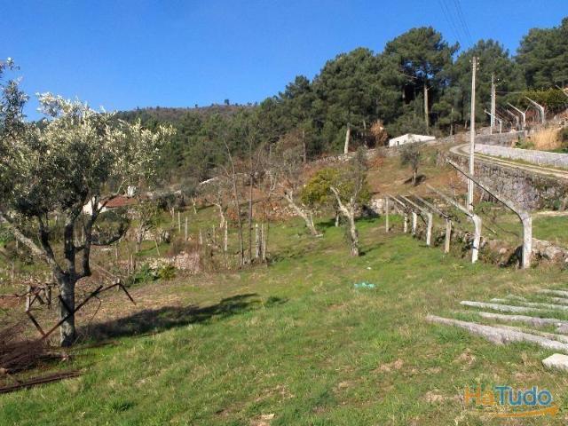 Terreno venda em Baião, Porto