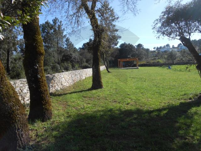 Terreno venda em Ourém, Santarém