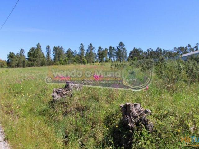 Terreno venda em Salvaterra De Magos, Santarém