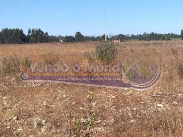 Terreno venda em Salvaterra De Magos, Santarém