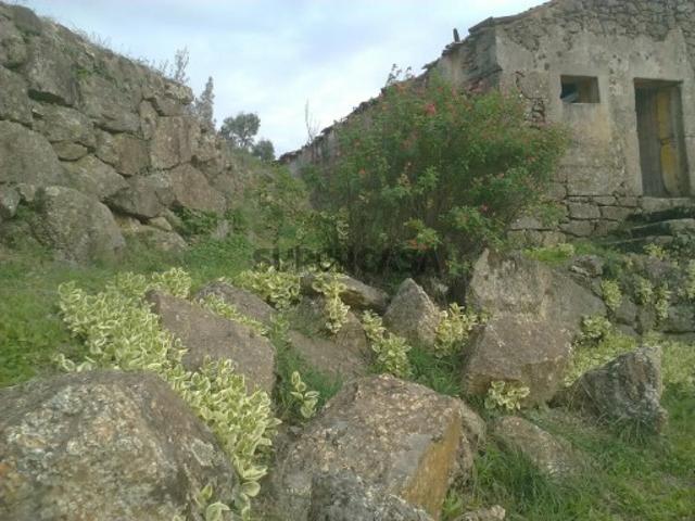 Terreno venda em Guarda