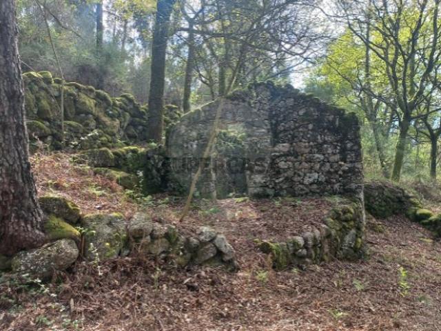 Terreno venda em Guardenha, Covas