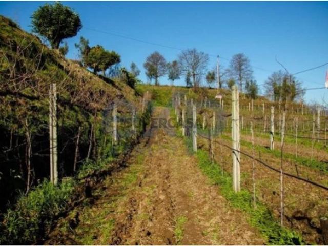 Terreno venda em Boalhosa, Viana Do Castelo