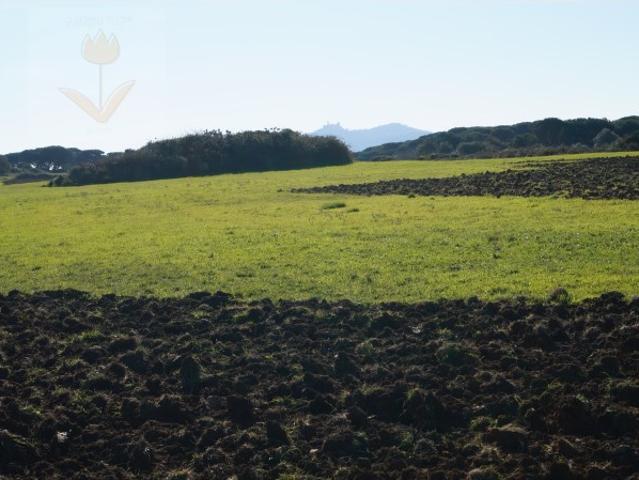 Terreno venda em Bolelas, Sintra