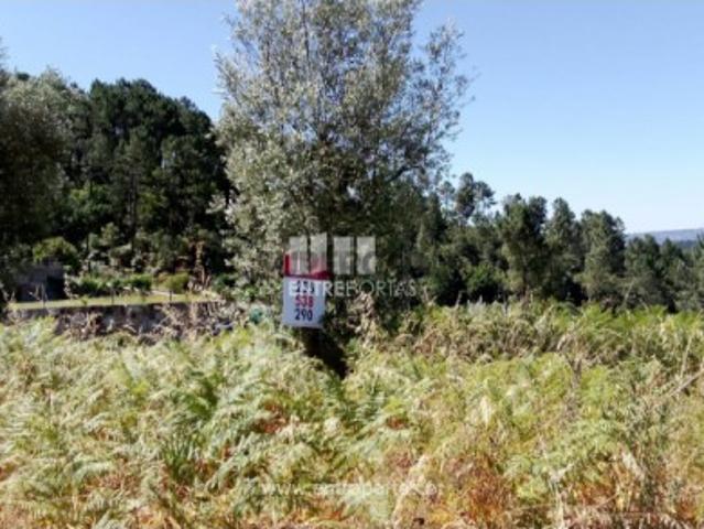 Terreno venda em Amarante, Porto