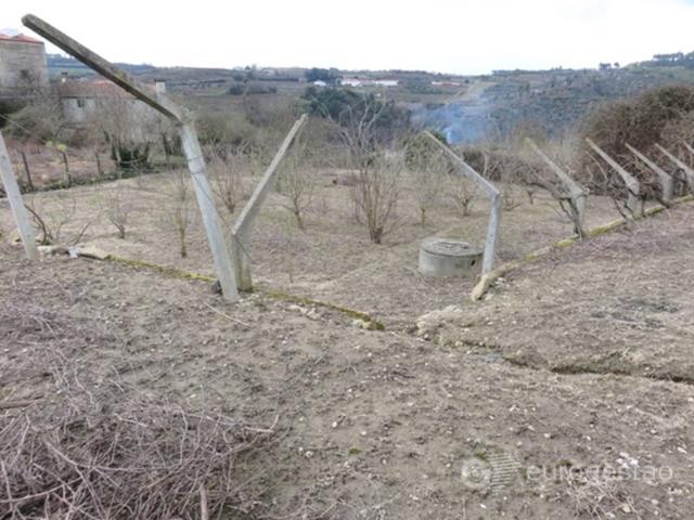 Terreno venda em Tarouca, Viseu