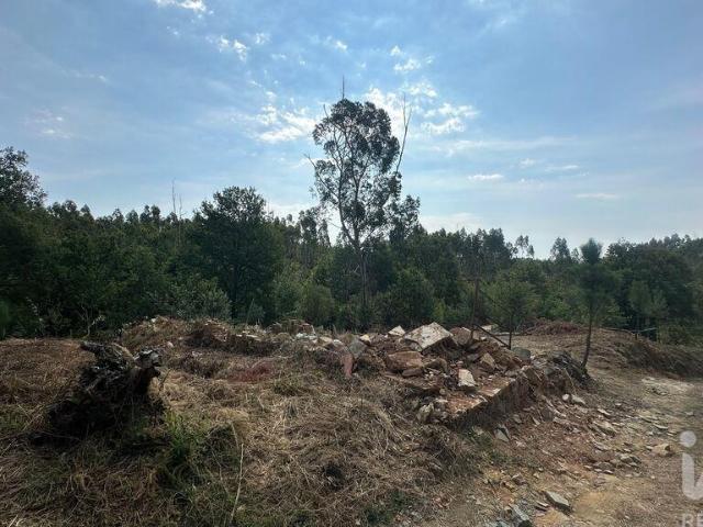 Terreno venda em Casal da Graça, Pedrógão Grande