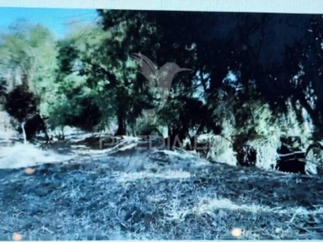 Terreno venda em Grândola, Setúbal