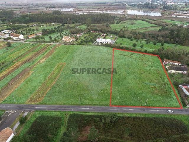 Terreno venda em Figueiró do Campo, Soure