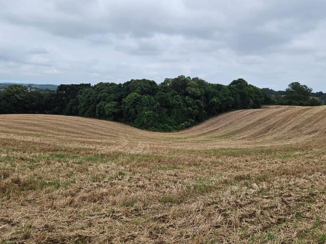 Terreno venda em Região Geográfica Imediata de Curitiba, Região Metropolitana de Curitiba