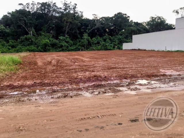 Terreno venda em Região Geográfica Imediata de Paranaguá, Guaratuba