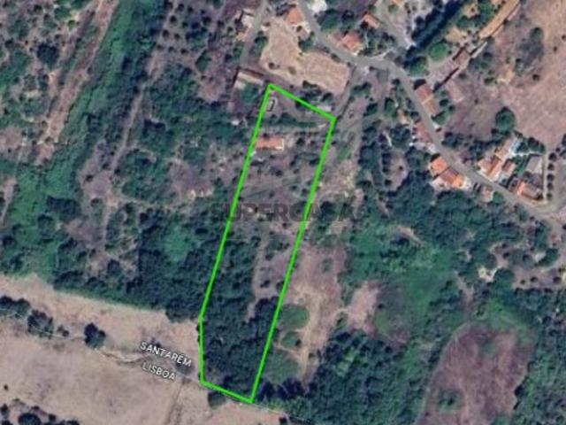 Terreno venda em Santarém