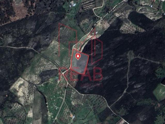 Terreno venda em Guarda, Trancoso