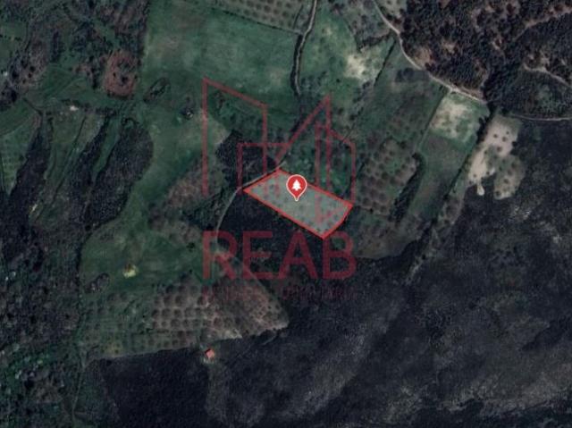 Terreno venda em Guarda, Trancoso