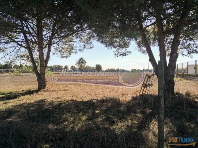 Terreno venda em Benavente, Santarém