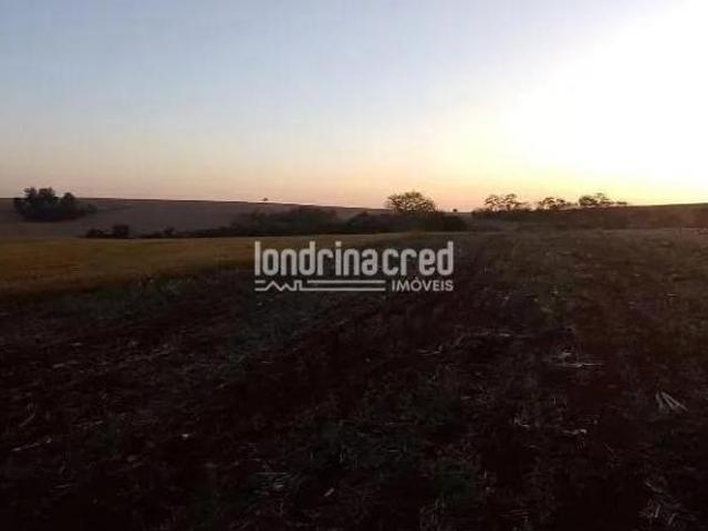Terreno venda em Região Geográfica Imediata de Londrina, Ibiporã