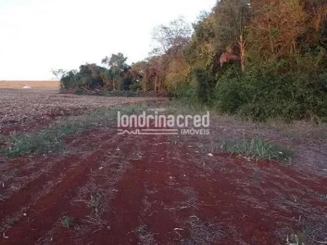 Terreno venda em Região Geográfica Imediata de Londrina, Ibiporã