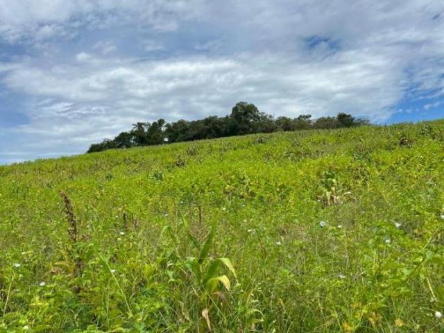 Terreno venda em Região Imediata de Sorocaba, Região Metropolitana de Sorocaba