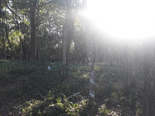 Terreno venda em Alto da Figueira, Ibiúna