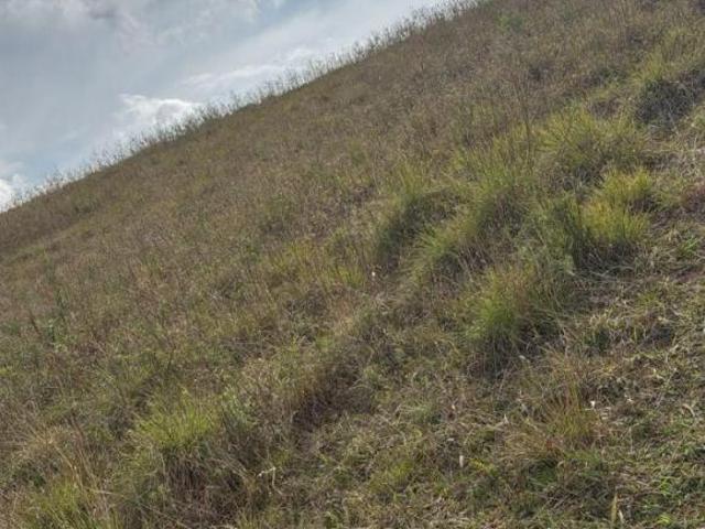 Terreno venda em Centro, Igaratá