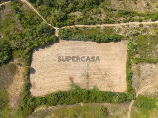 Terreno venda em Mafra, Lisboa