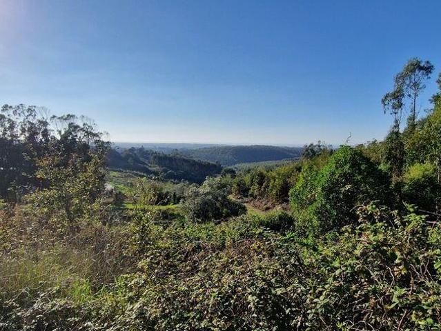 Terreno venda em Mafra, Lisboa