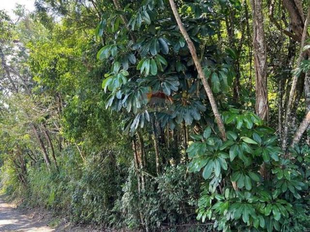 Terreno venda em Armacão, Ilhabela