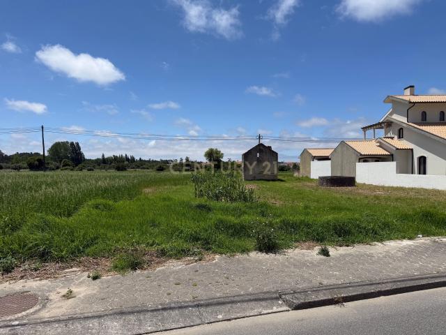 Terreno venda em Ílhavo, Aveiro