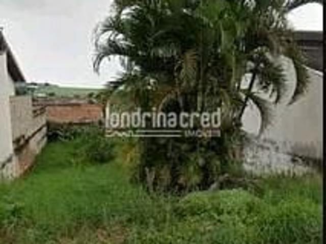 Terreno venda em Região Geográfica Imediata de Londrina, Londrina