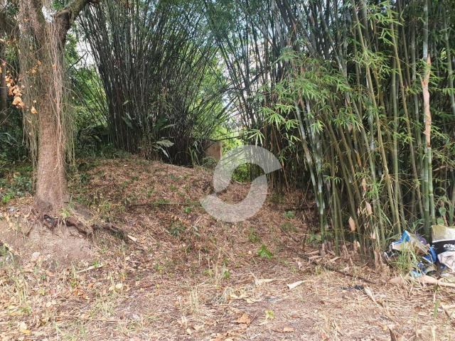 Terreno venda em Morro do Palácio, Niterói