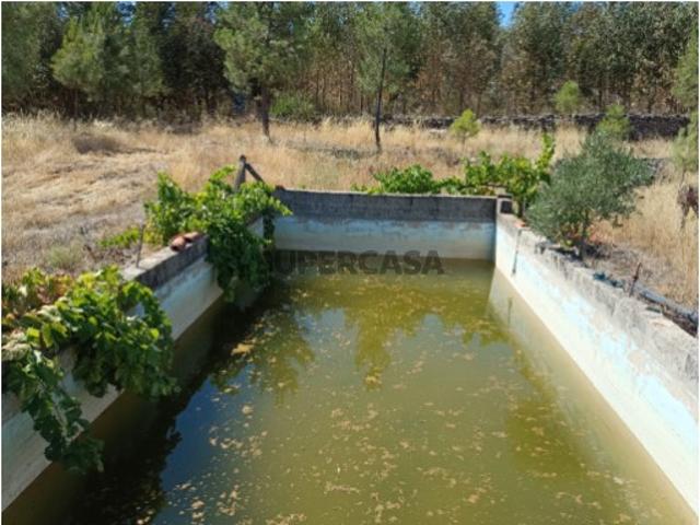 Terreno venda em Castelo Branco, Inguias