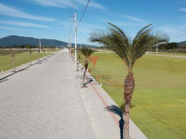 Terreno venda em Região Geográfica Imediata de Itajaí, Itapema