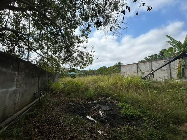 Terreno aluguel em Região Geográfica Imediata do Rio de Janeiro, Região Metropolitana do Rio de Janeiro